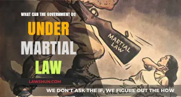 Martial Law: Exploring Government Powers