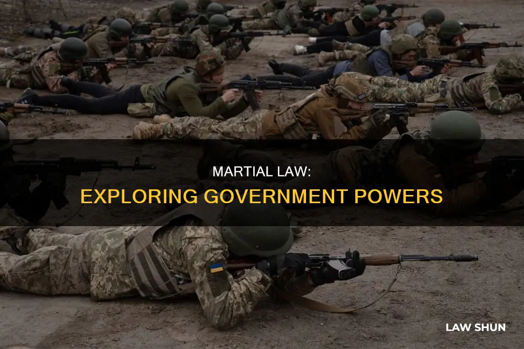 what can the government do under martial law