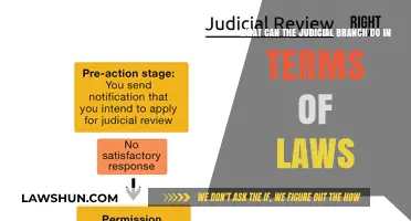 Judicial Branch: Interpreting and Enforcing the Law