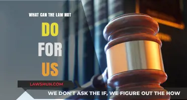 The Law's Limitations: What Can't Be Legislated?