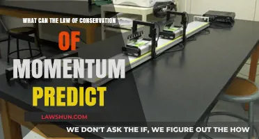 Momentum Conservation Law Predicts: Collisions and More
