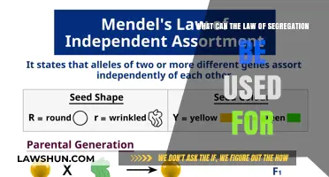 Segregation's Law: Applications and Misuses