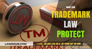 Trademark Law: Protecting Your Brand and Identity