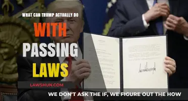 Trump's Power: Passing Laws and Their Limits