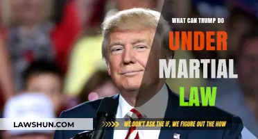 Martial Law: Trump's Potential Power Grab