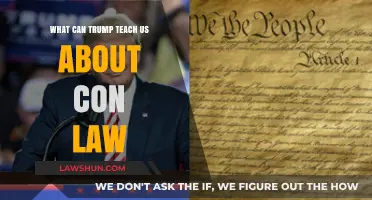 Trump's Lessons: Understanding Con Law
