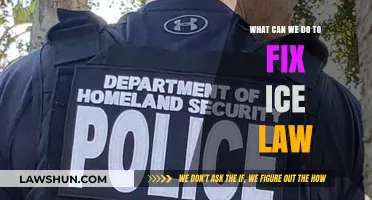 ICE Laws: Reforming the System for Migrants