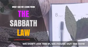 The Sabbath Law: A Lesson in Rest and Reflection