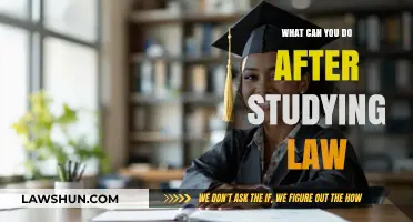 Career Options for Law Graduates: Exploring Diverse Paths