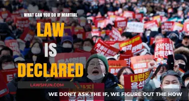 Martial Law: What to Do and Prepare For