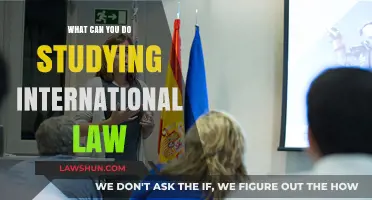 International Law: A Career of Global Impact