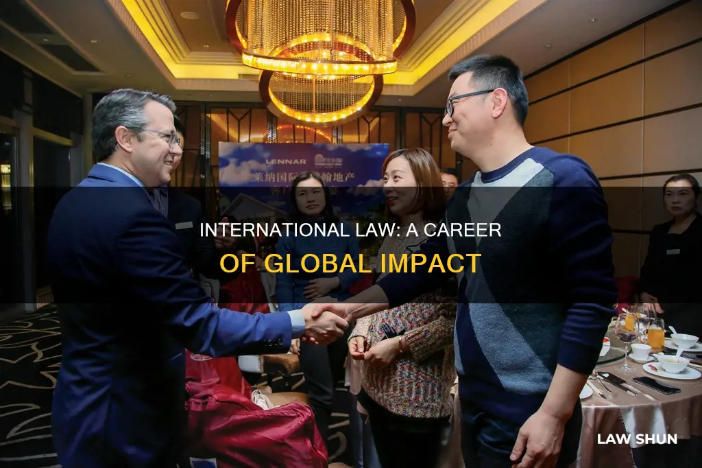 what can you do studying international law