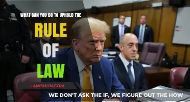 Upholding the Rule of Law: Your Role and Responsibility