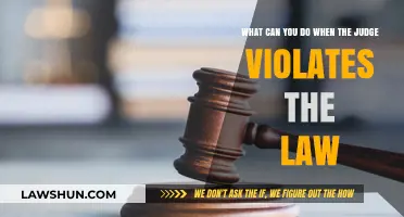 How to Act When Judges Break the Law