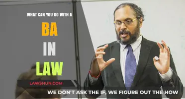 Career Options With a BA in Law