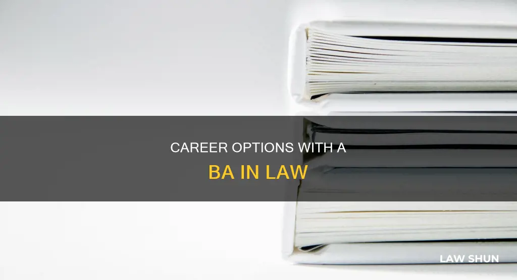 what can you do with a ba in law
