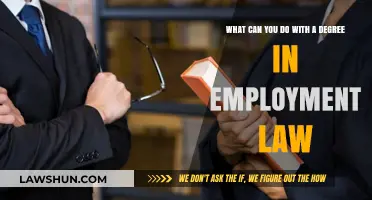 Employment Law Degree: Career Opportunities and Job Security