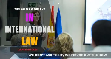 International Law JD: Career Opportunities and Options