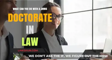Career Options for Your Juris Doctorate Degree