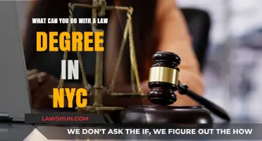 Law Degree Options: Exploring NYC's Legal Career Paths