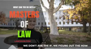 Career Options With a Master of Laws Degree