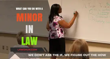 Exploring Career Options With a Minor in Law