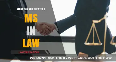 Career Options with a Master of Science in Law