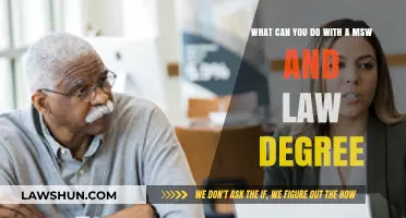 Career Options With a MSW and Law Degree