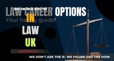 Career Options With a UK Law PhD