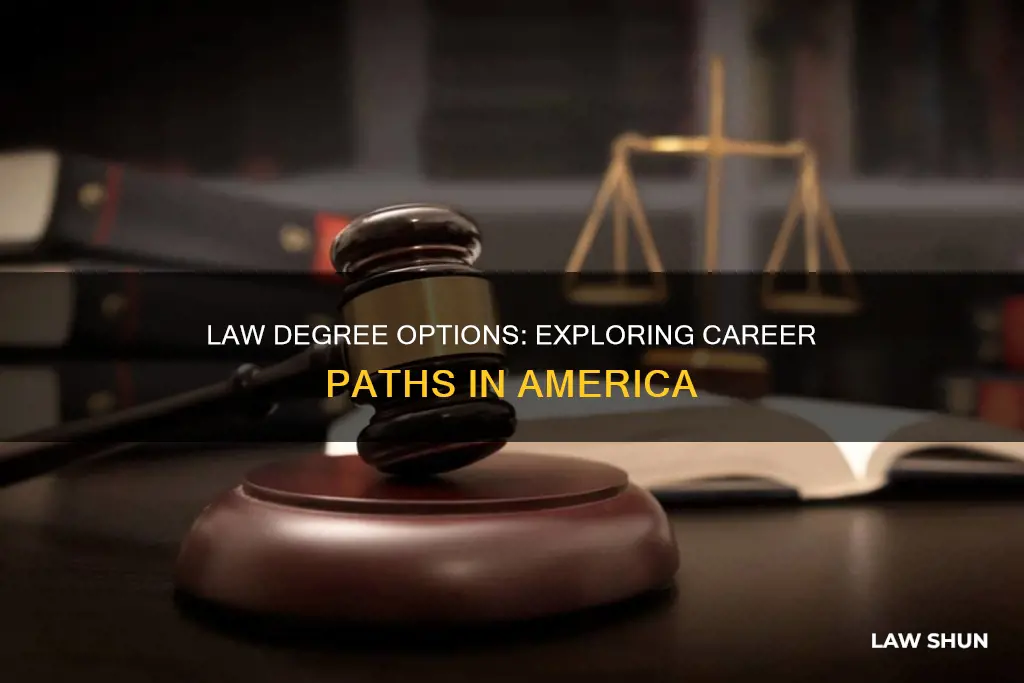 what can you do with an american law degree