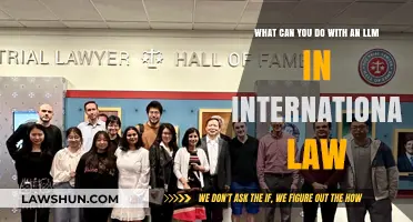Career Options With an LLM in International Law