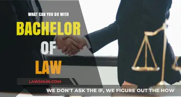 Exploring Career Options with a Bachelor of Law