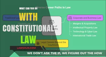 Constitutional Law: Shaping Society and Individual Rights