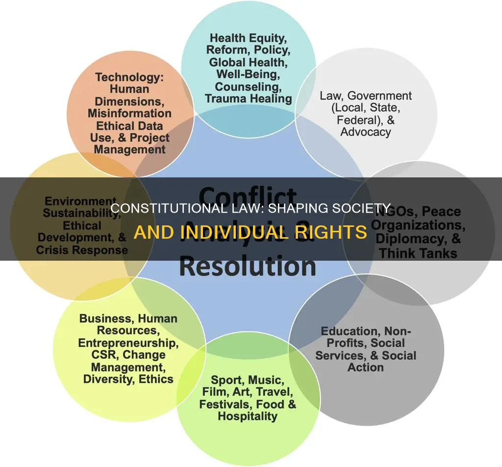 what can you do with constitutional law
