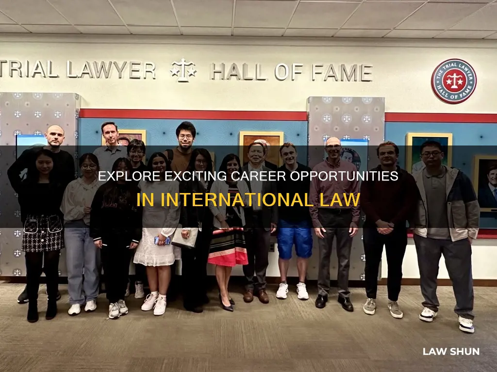 what can you do with international law