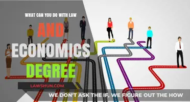 Career Options With a Law and Economics Degree