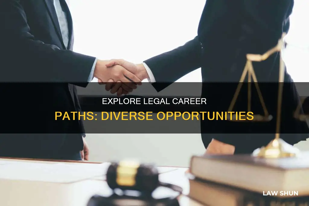 what can you do with law