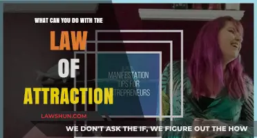 Manifesting Your Dreams: The Power of Law of Attraction