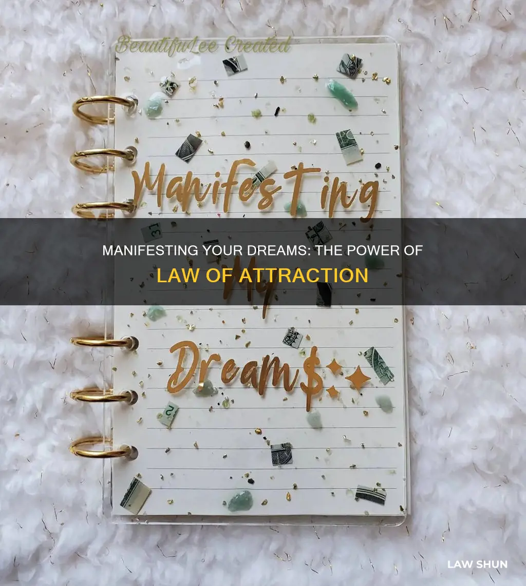 what can you do with the law of attraction
