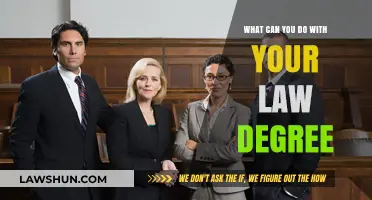 Explore Career Options With a Law Degree