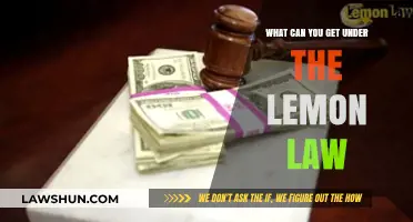 Lemon Law: What Are Your Rights?