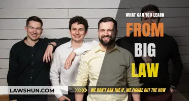 Big Law: Lessons for the Little Guy