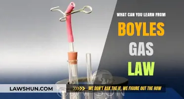 Lessons from Boyle's Law: Gas Behavior Explained