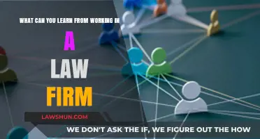 Lessons from a Law Firm: A Career Launchpad