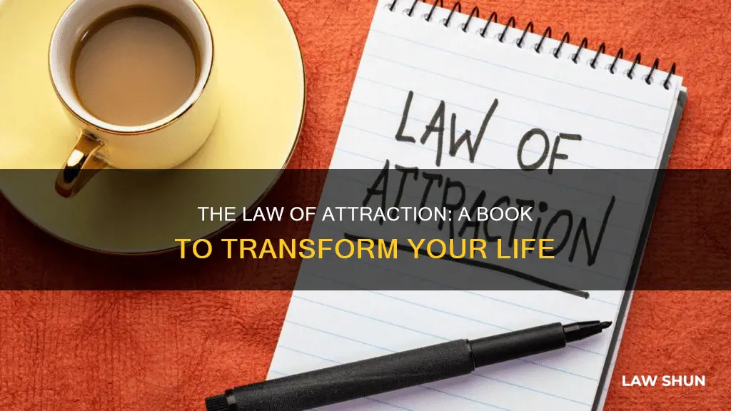 what can you say about law of atttraction book