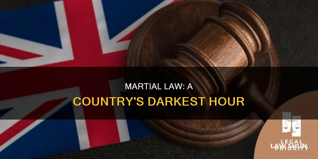 what can you say about martial law