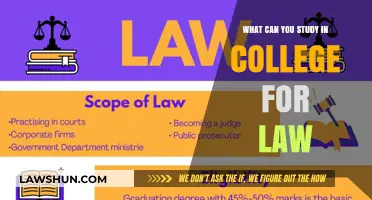 College Majors for Aspiring Lawyers