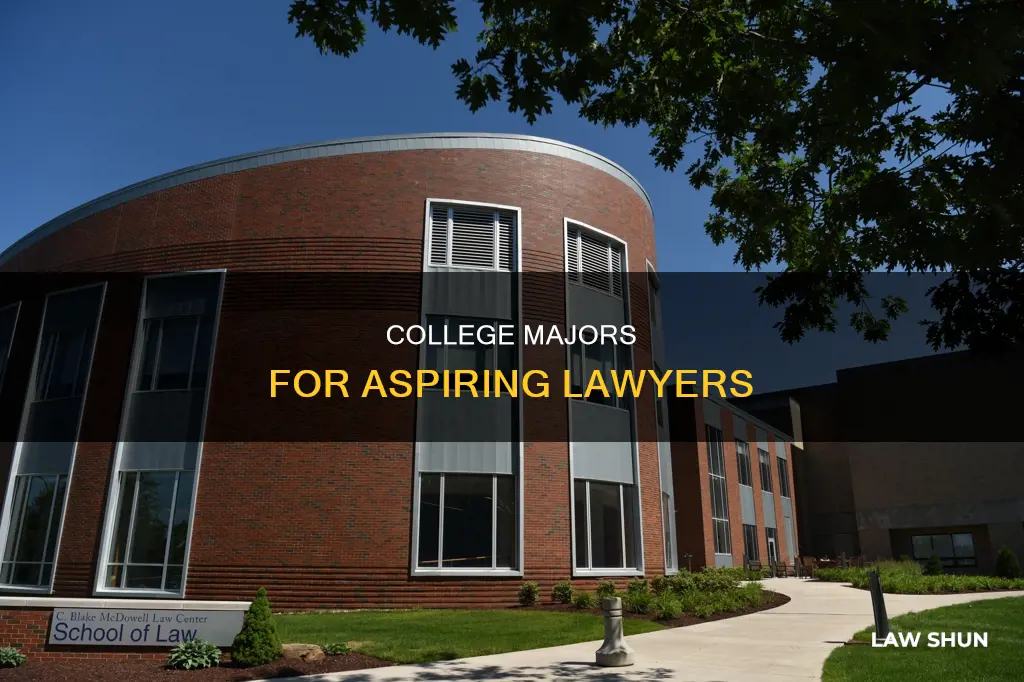 what can you study in college for law