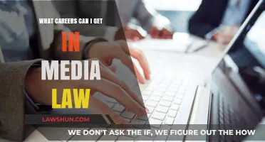 Media Law: Career Opportunities and Job Prospects