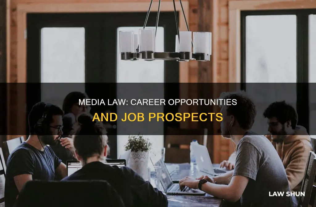 what careers can i get in media law
